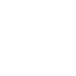 adi young